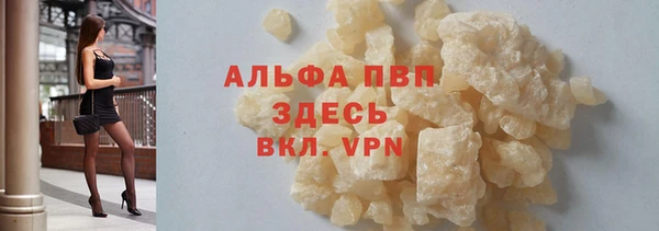 PSILOCYBIN Михайлов