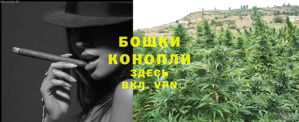 PSILOCYBIN Михайлов