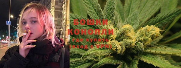 PSILOCYBIN Михайлов