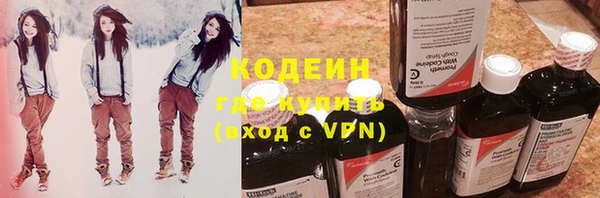 шишки Михайловск
