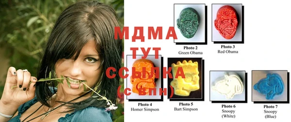 PSILOCYBIN Михайлов